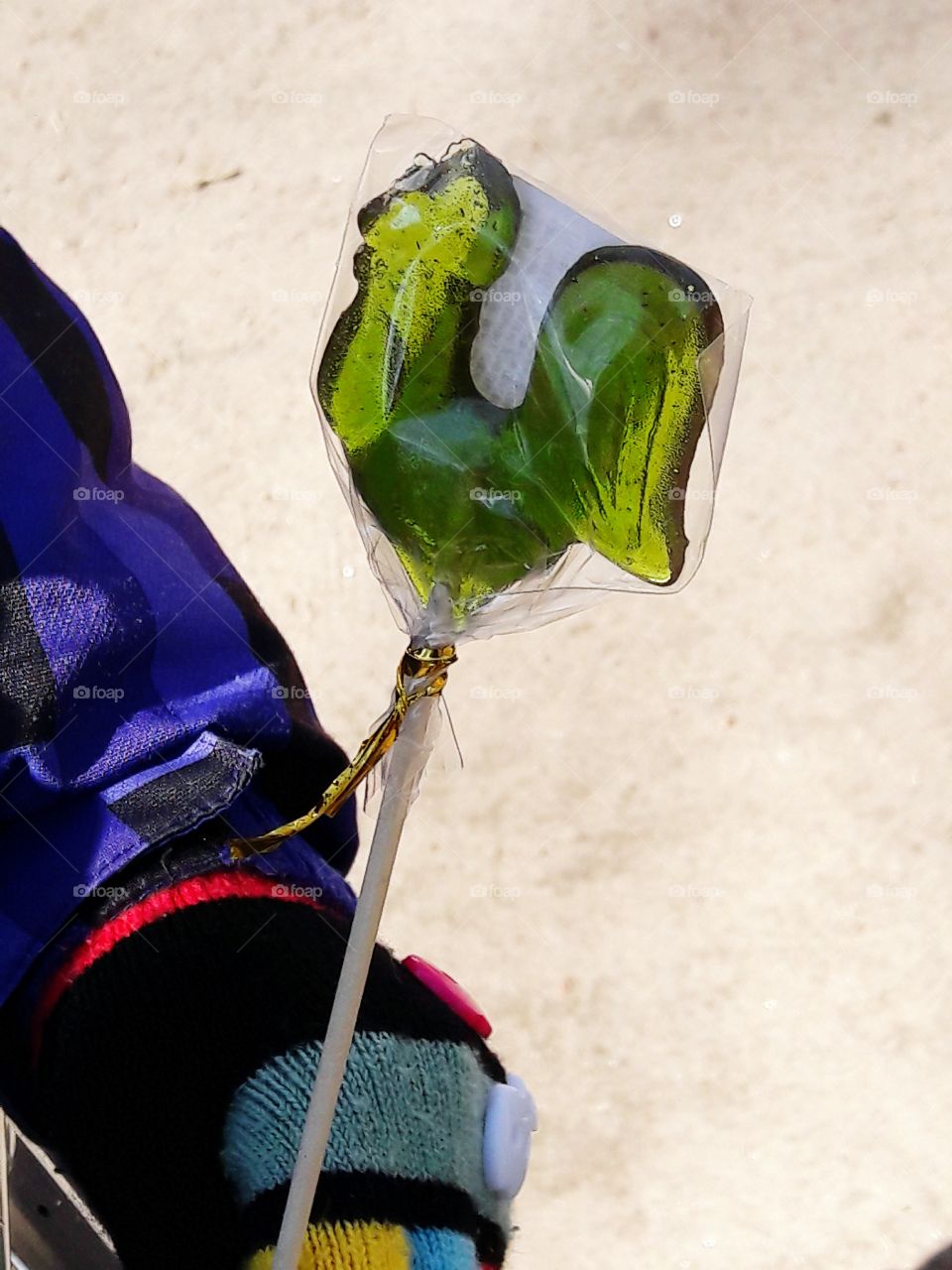 park spring time sun sunny colors colorful nature wild plants flowers amazing stunning cool nice weather hot lovely sky forest grass view splendid