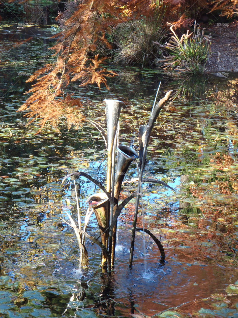 Them calla Lilly blending in..