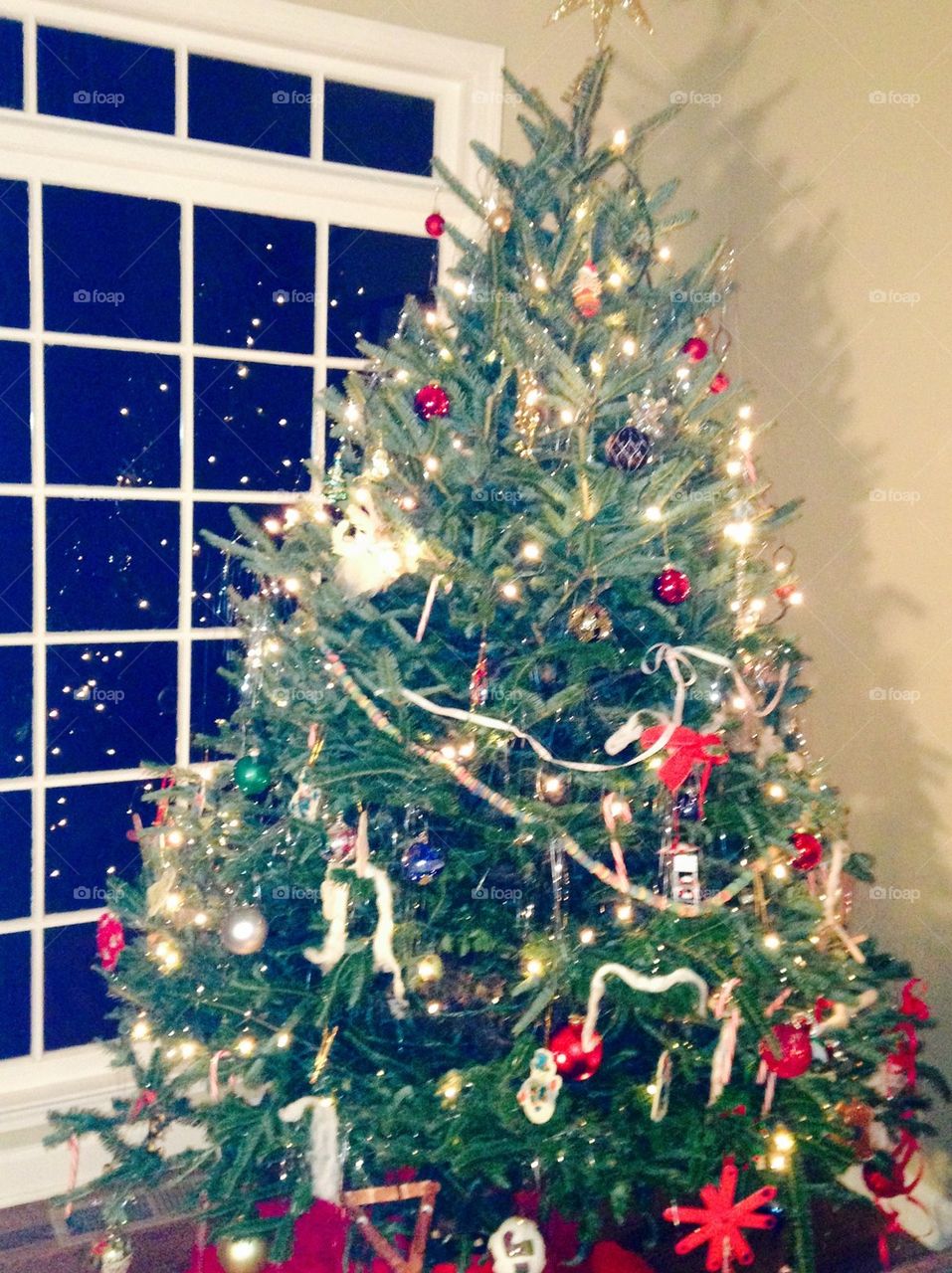Christmas tree for me