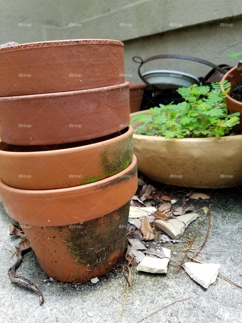 Forgotten Garden Plans