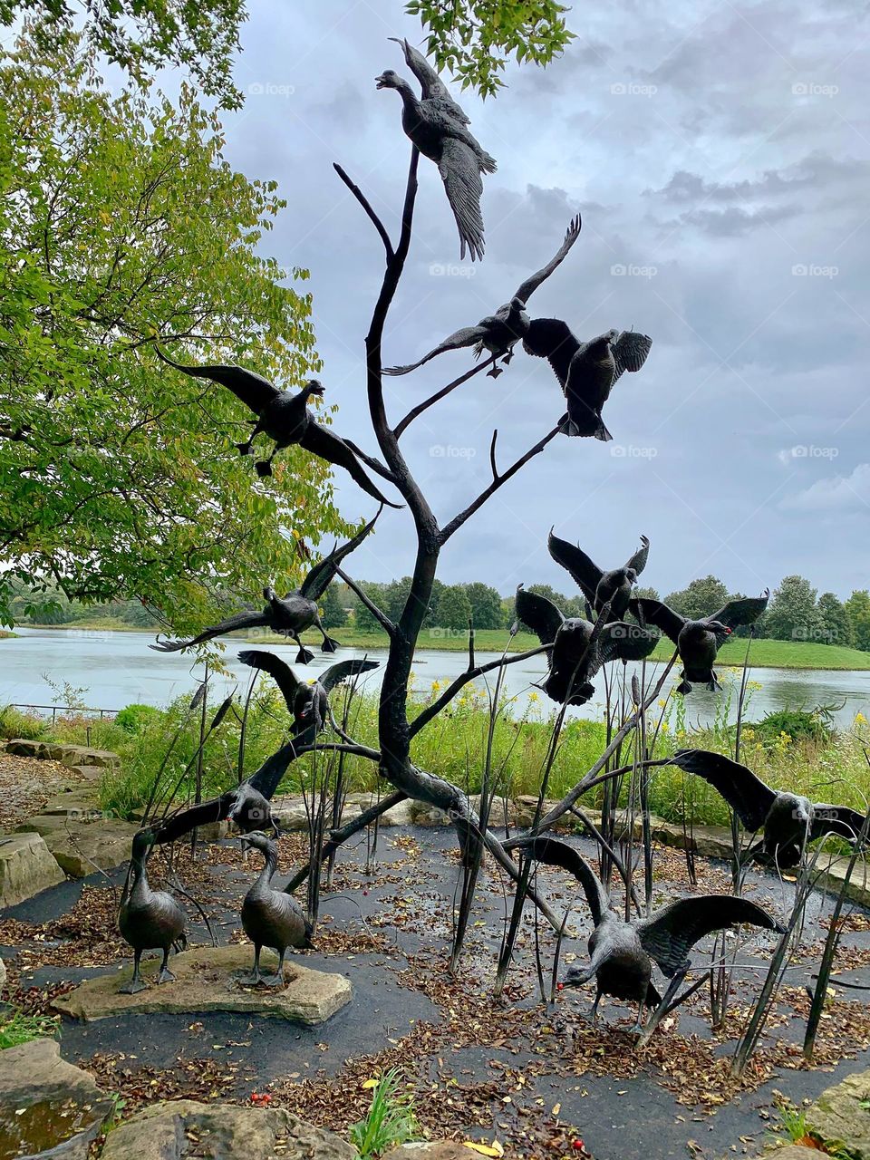 Metal Composition - Birds