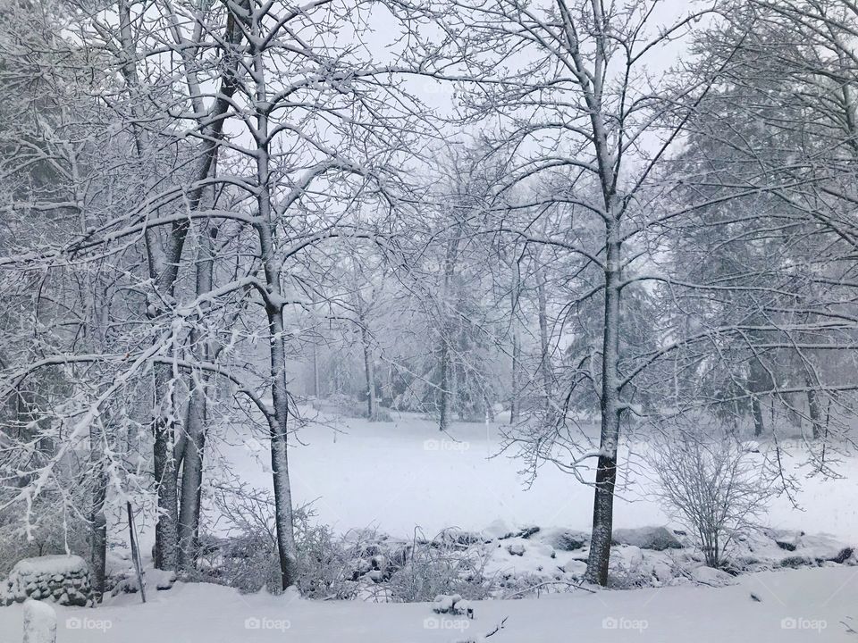 Winter day, snow day. NY