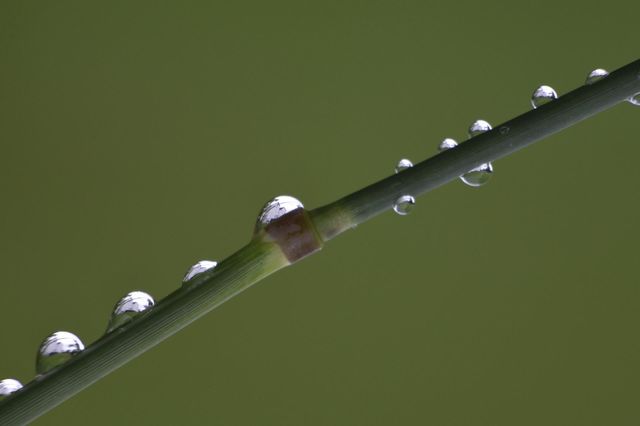 Droplets