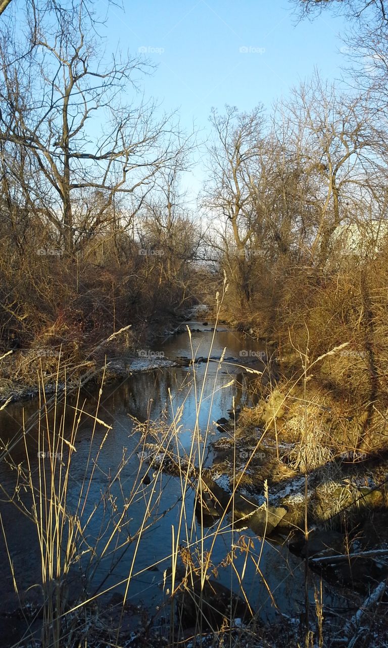 Cold creek