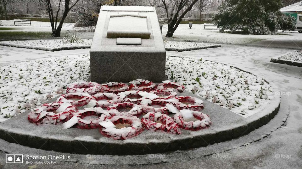 Frozen tributes for the fallen heroes..