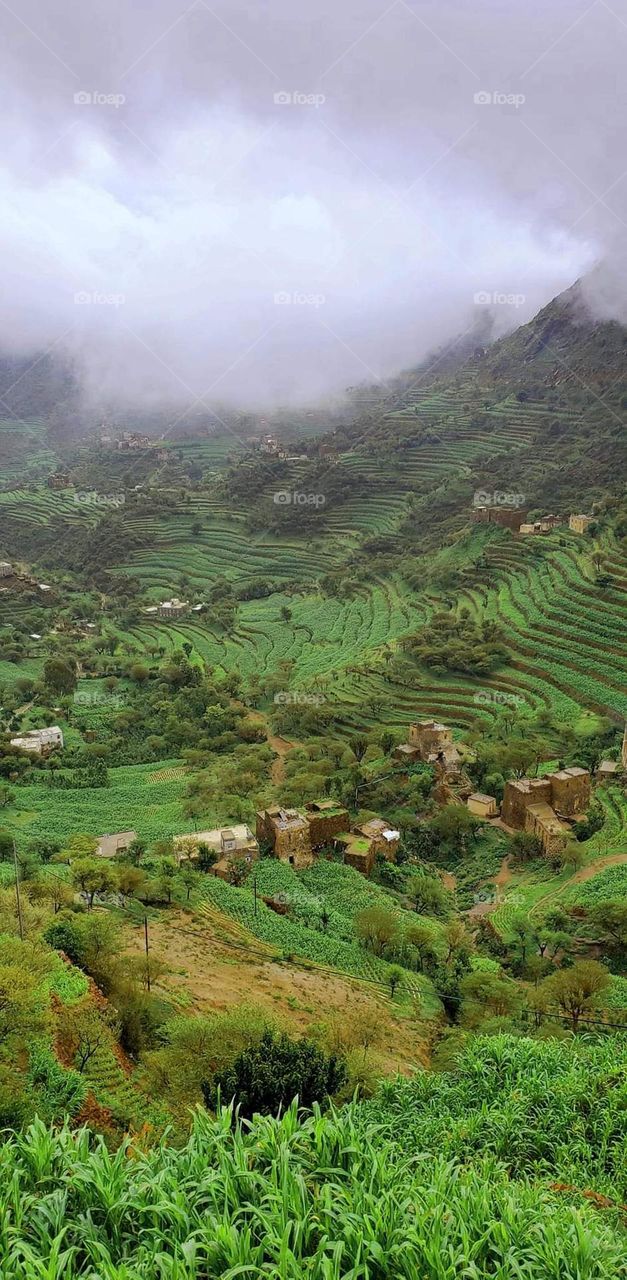 Glory be to God, the magnificent and picturesque view and the natural green trees are a view that is nothing more wonderful than it