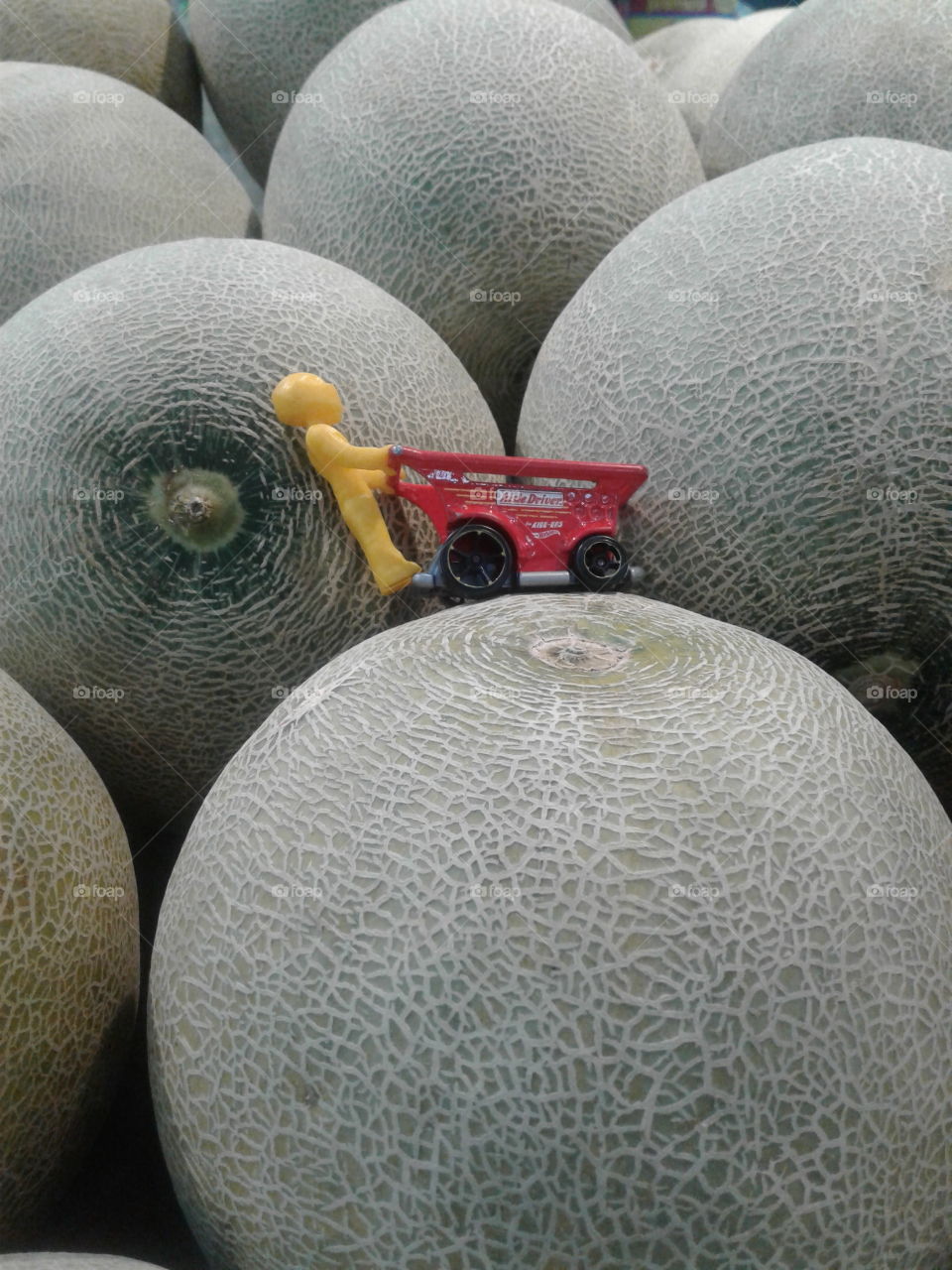 Melon...