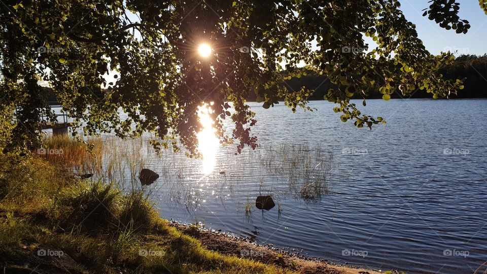 By the lake in sunny autumn , solig höstdag vid Härlanda tjärn Sverige 