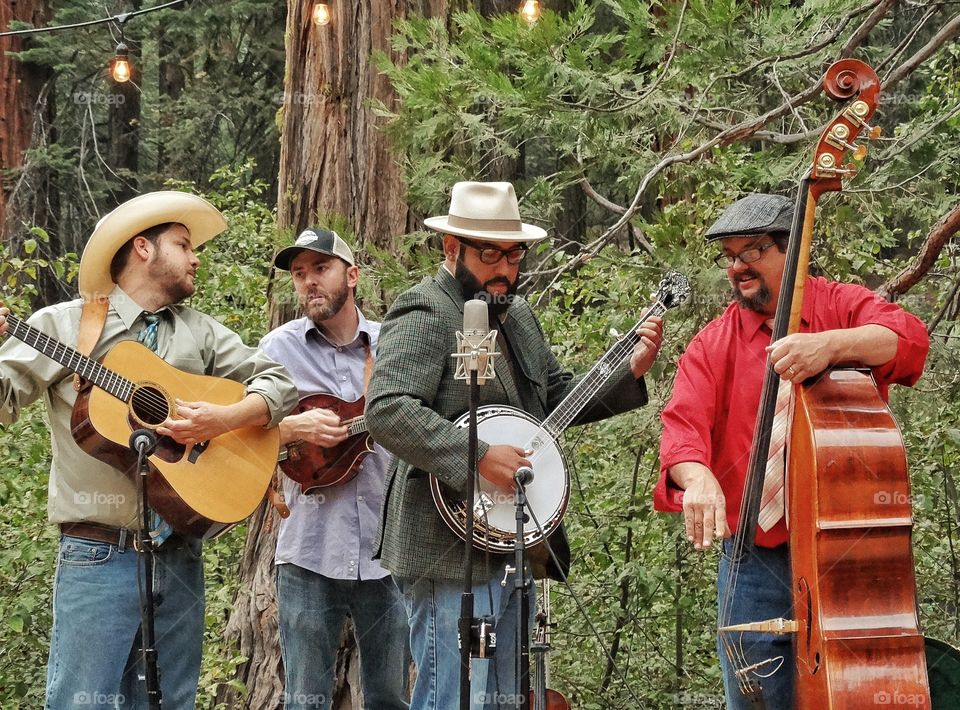 Bluegrass Band. American Traditional Bluegrass Music Quartet
