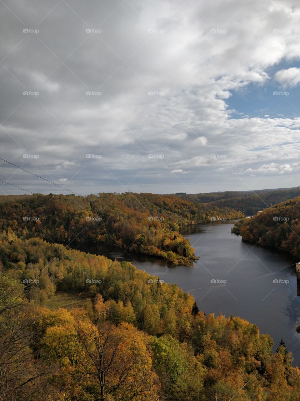 Fall, Lake, forest, Nature, colourful