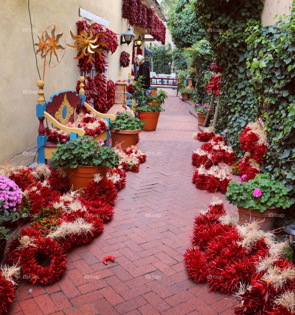 Decoration, Flower, Celebration, Christmas, No Person