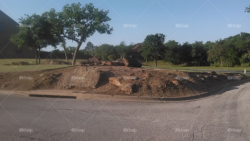 new rock garden. we are building a rock garden