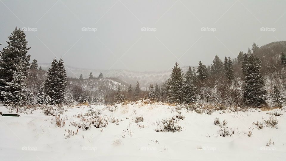 Tibble fork resevoir