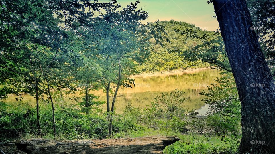 Scenic wilderness views