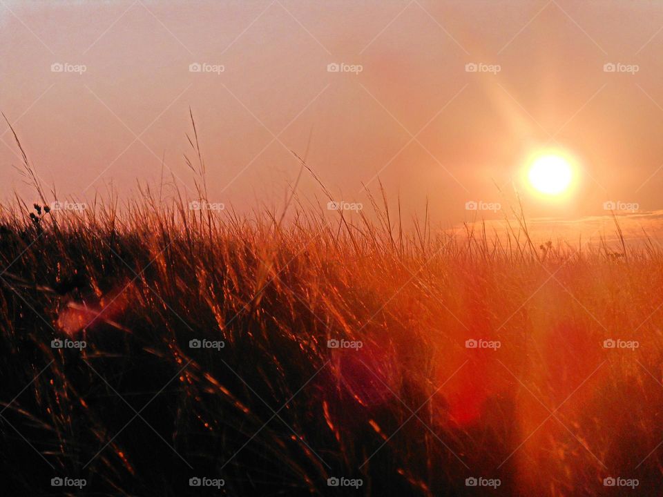 Sunset, Dawn, Sun, Landscape, Evening