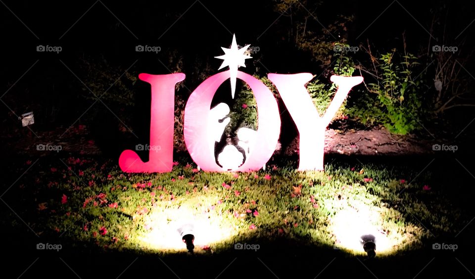 Joy decorations for Christmas 