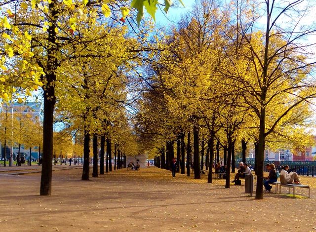 Autumn