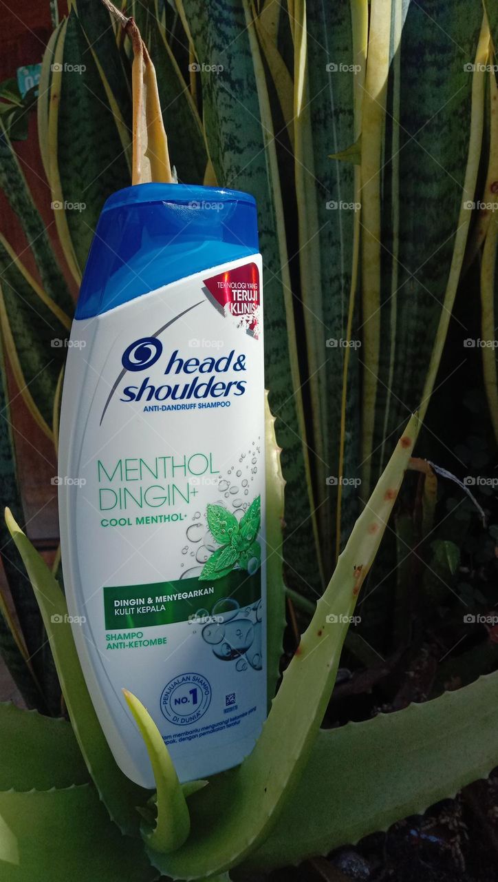 Anti-dandruff shampoo products