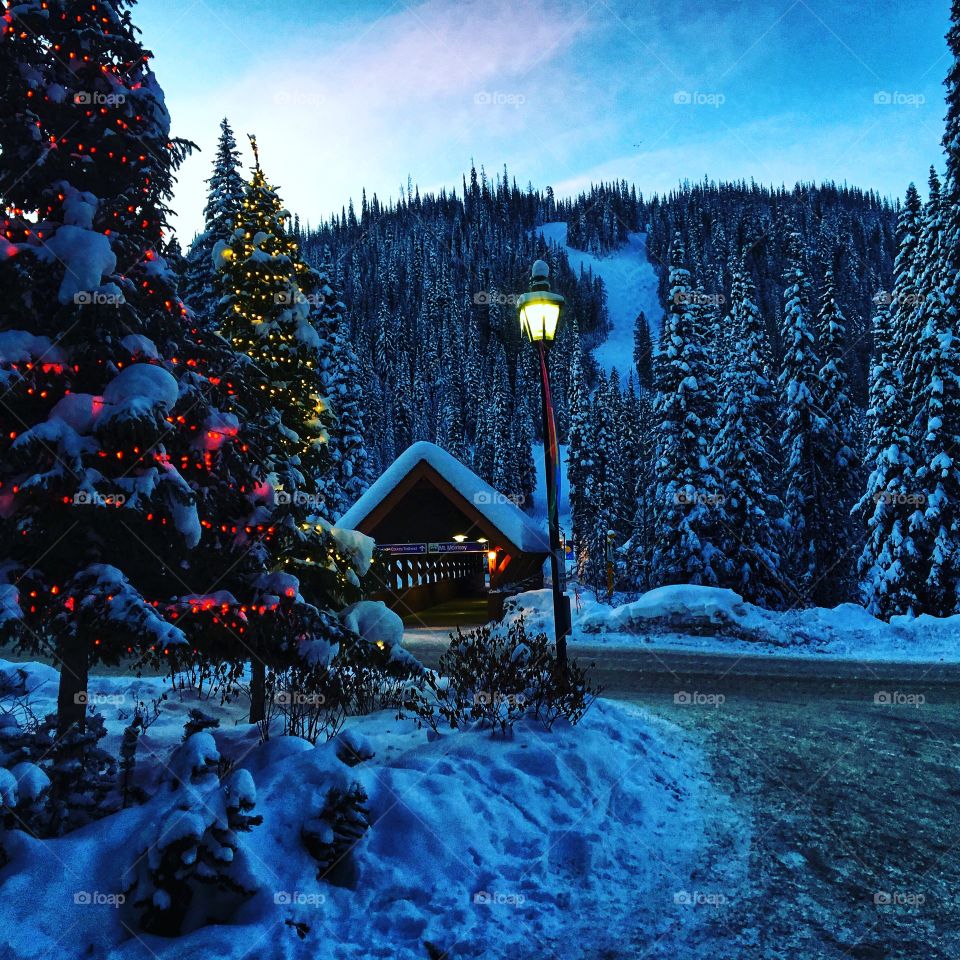 Beautiful winter morning 