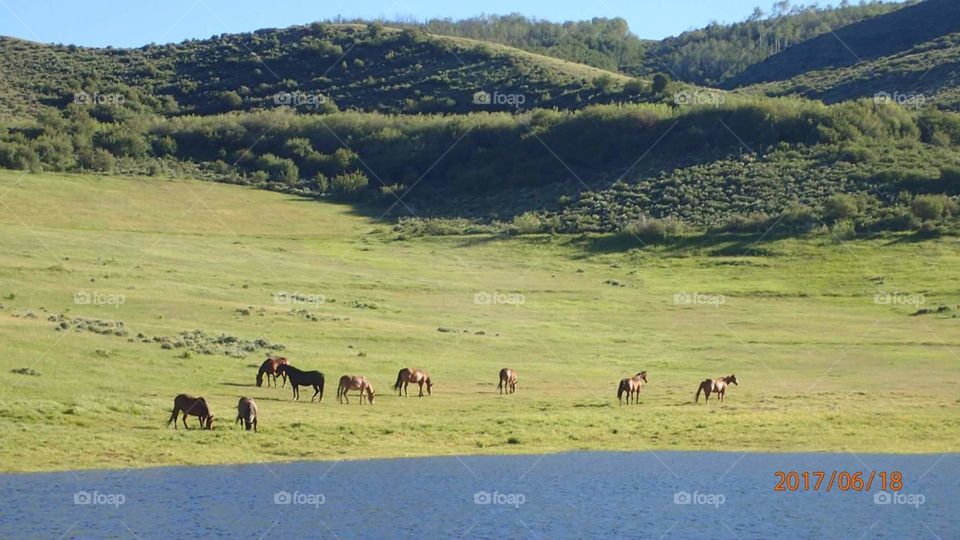 Beautiful Colorado