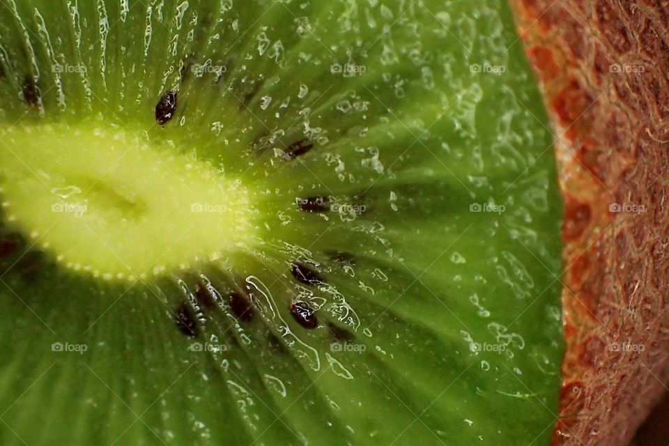 Kiwi closeup