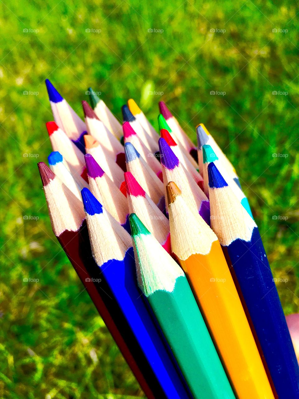 Bunch of color pencil