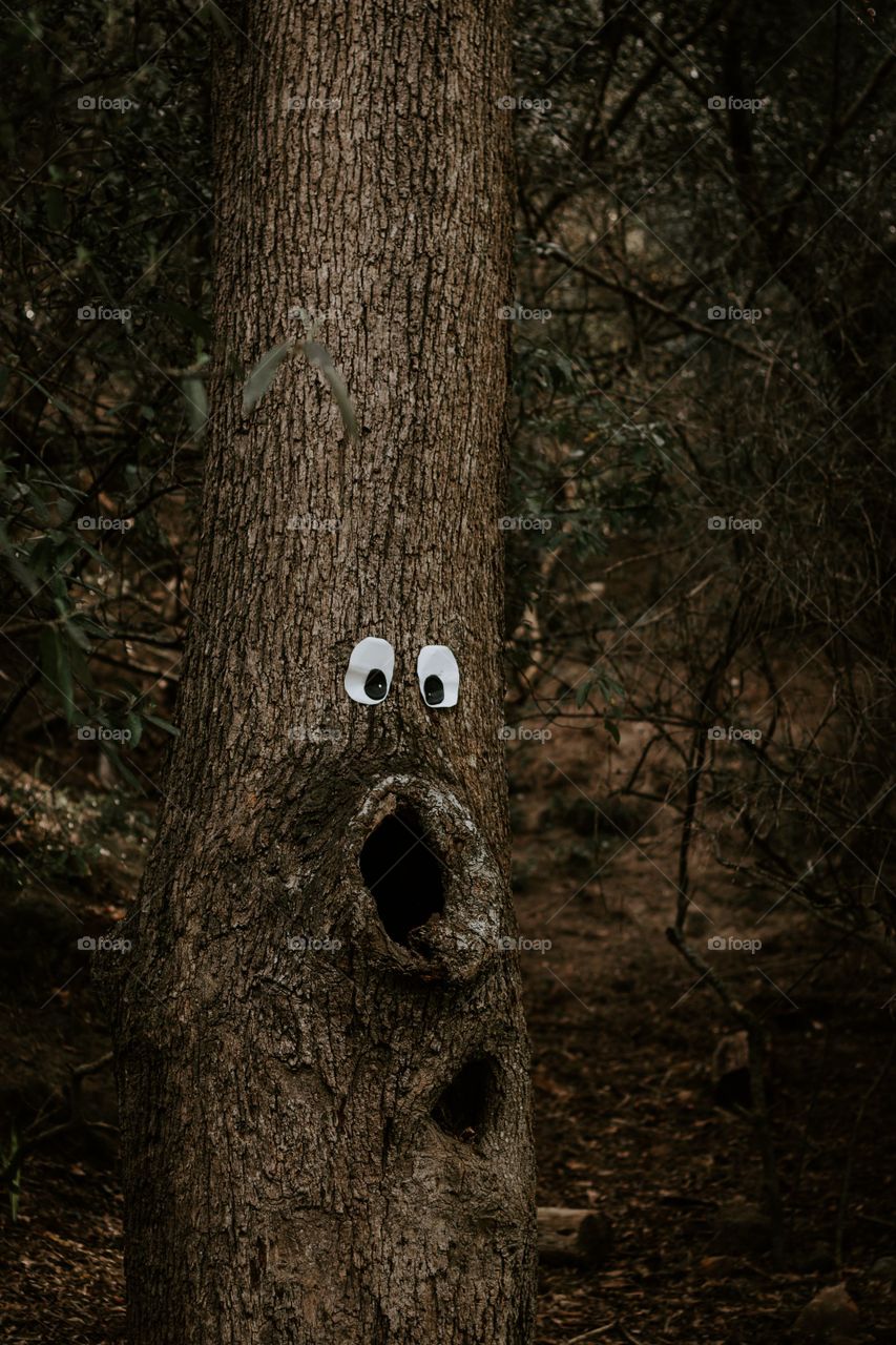 tree face