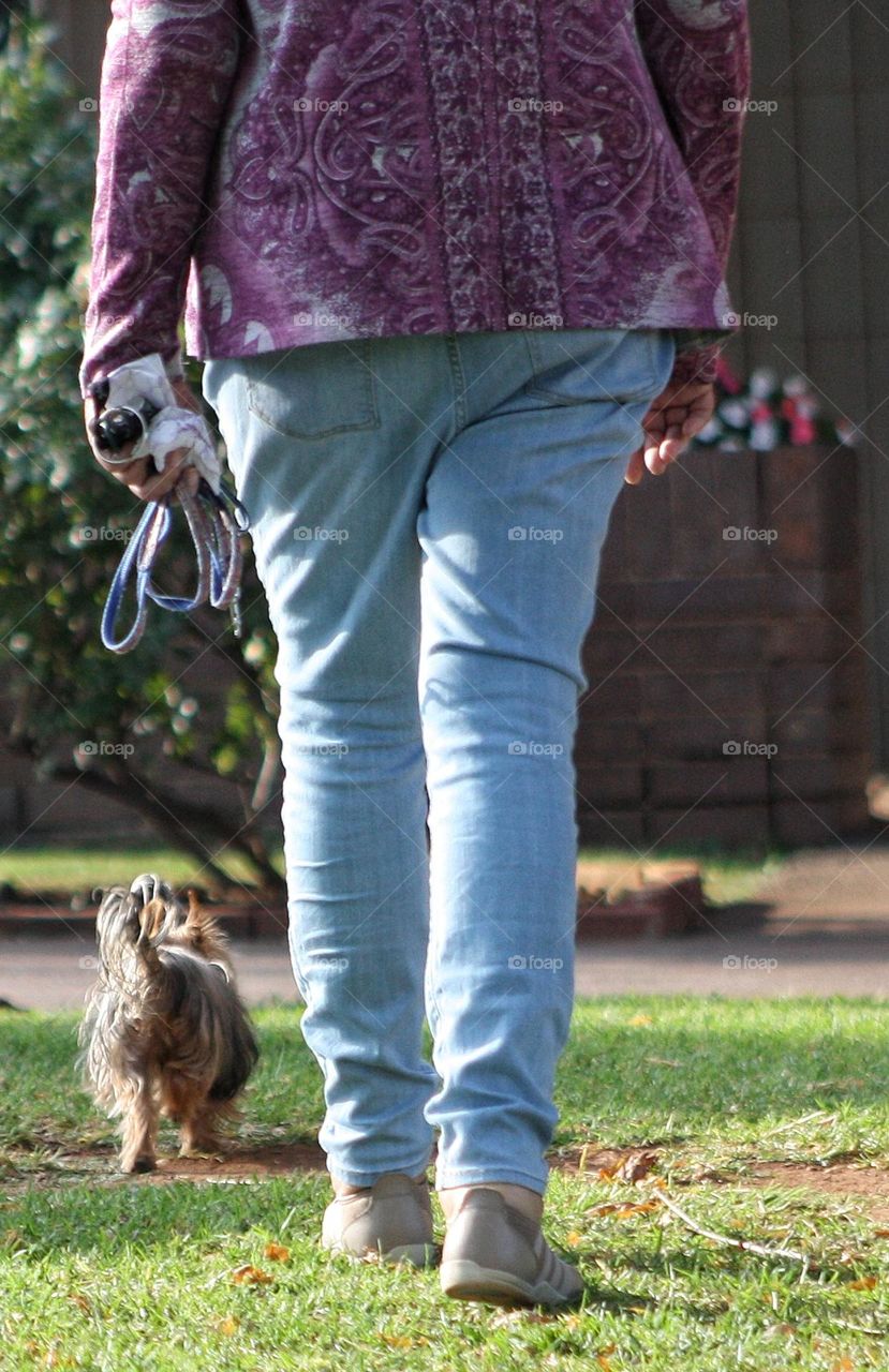 old lady walking her small dog