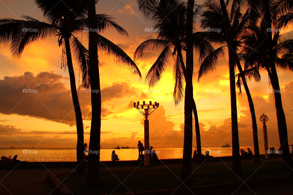 palm sunset view. sunset from manila