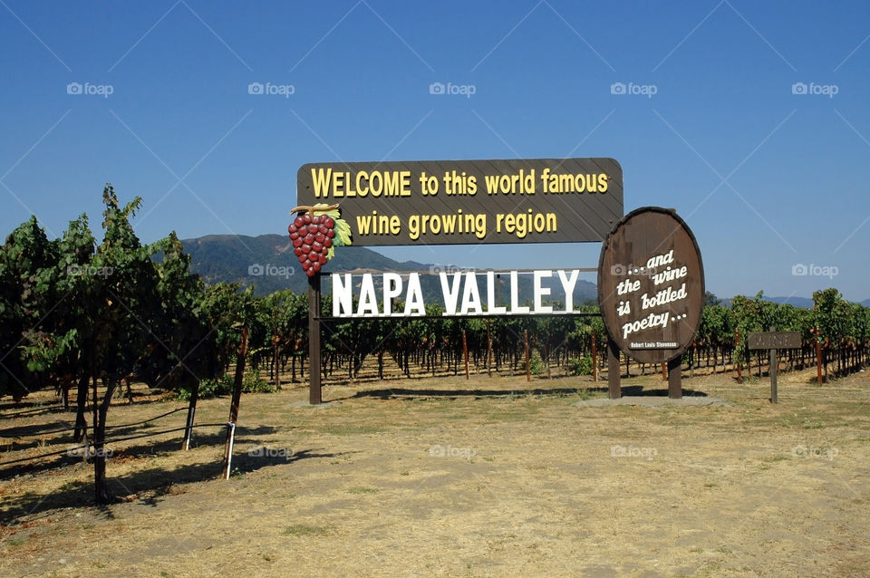 Welcome to the world famous Napa Valley California.