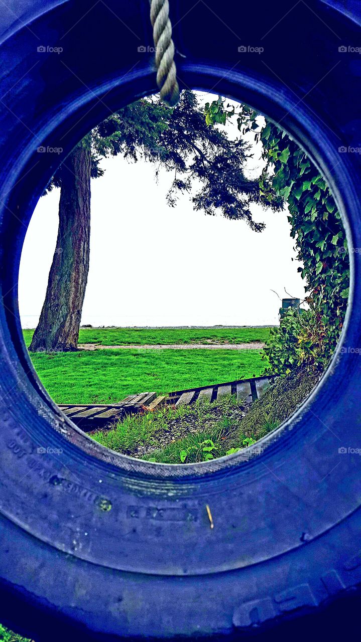 tree swing, tire swing