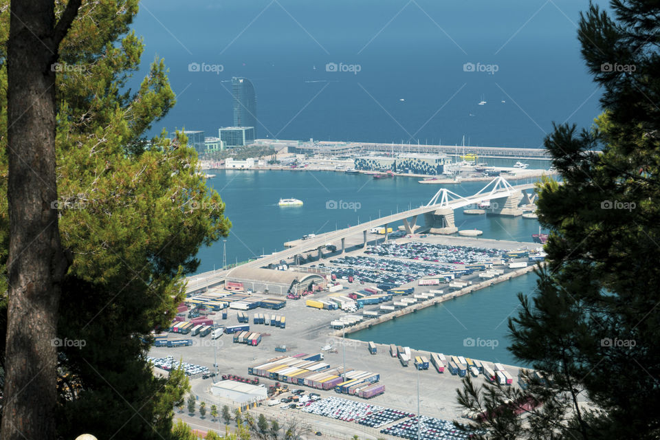 The port of Barcelona seen from above.

View from Montjuic mountain. The sky is clear and the sun is shining. The port is framed by green trees.
