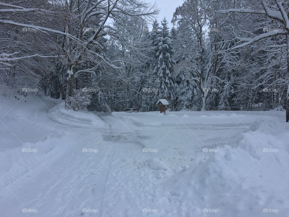 All snow as far as you can see.