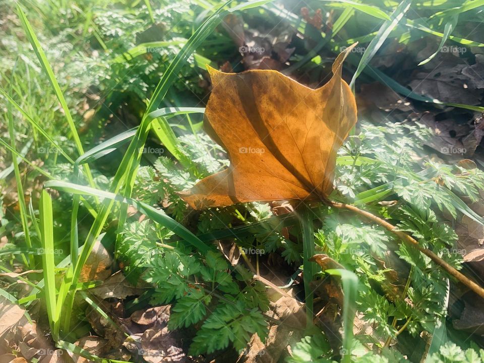 Editor’s Choice : Photo Of The Week