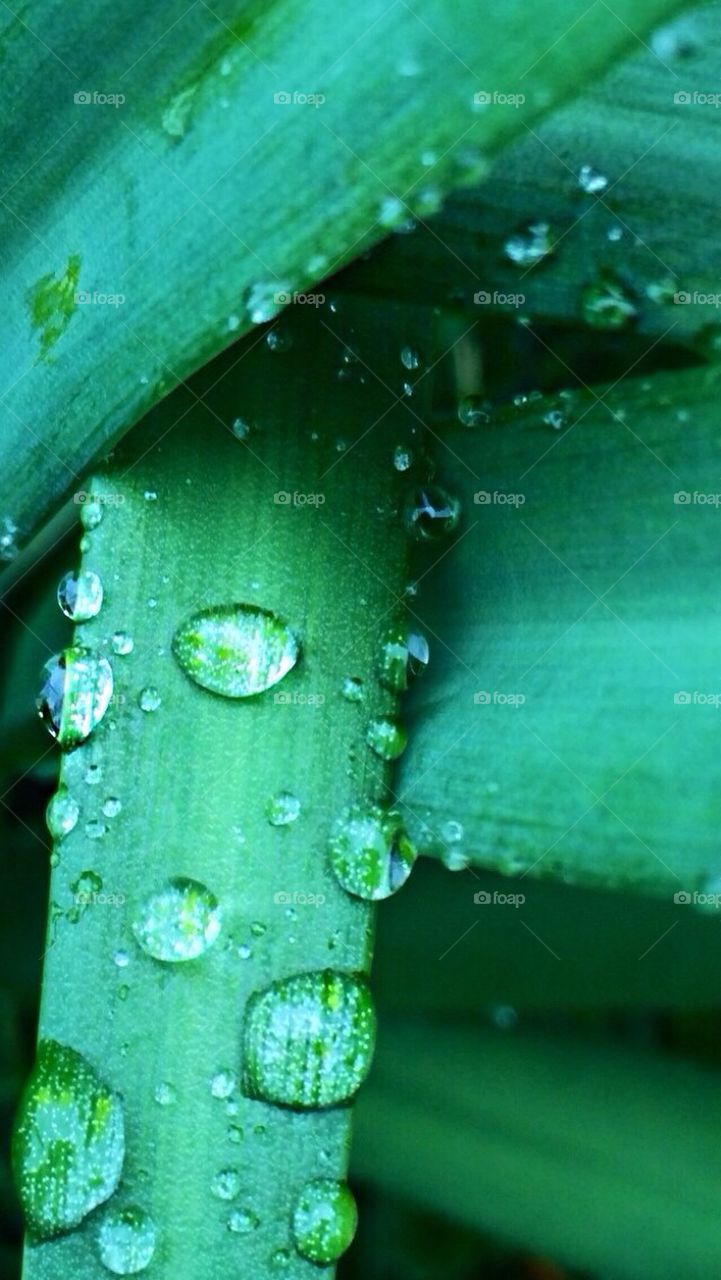 Raindrop1
