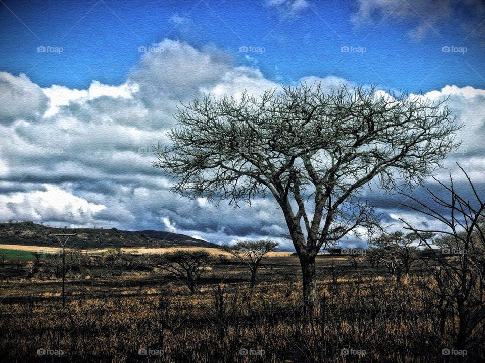 Dark clouds winter rain