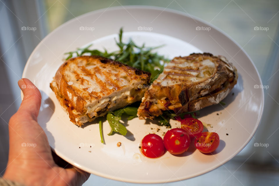 Person holding plate of sandwich