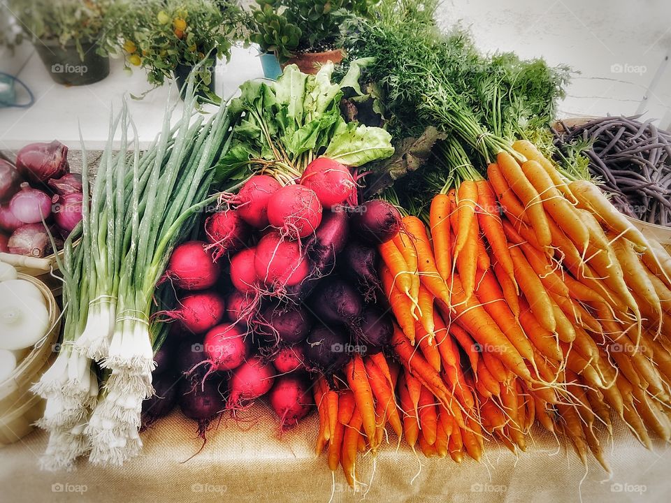 Vermont Middlebury Market