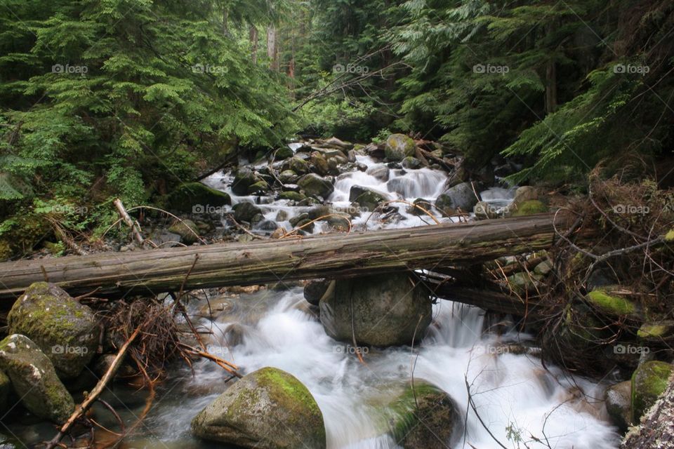 Misty waterfall in forest