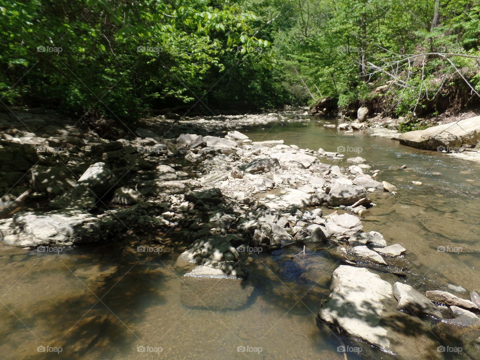 McCormick's Creek State Park
