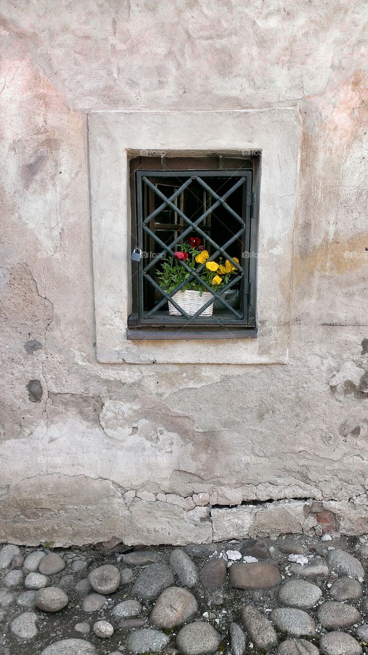 Flowers on a windowsill behind iron bars
