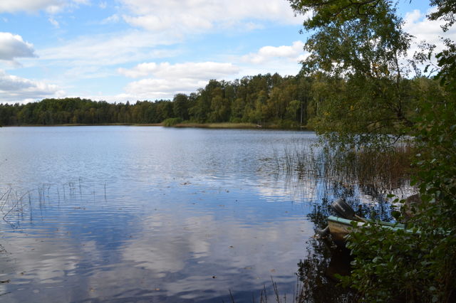 Lake
