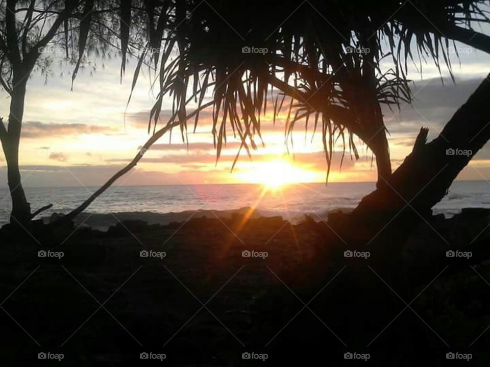 Hawaiian sunrise.