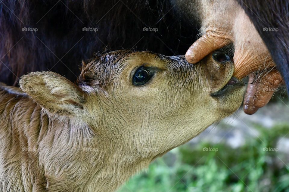 Life on a farm 