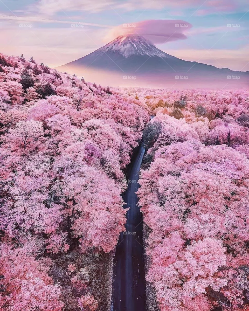 When nature paints her painting