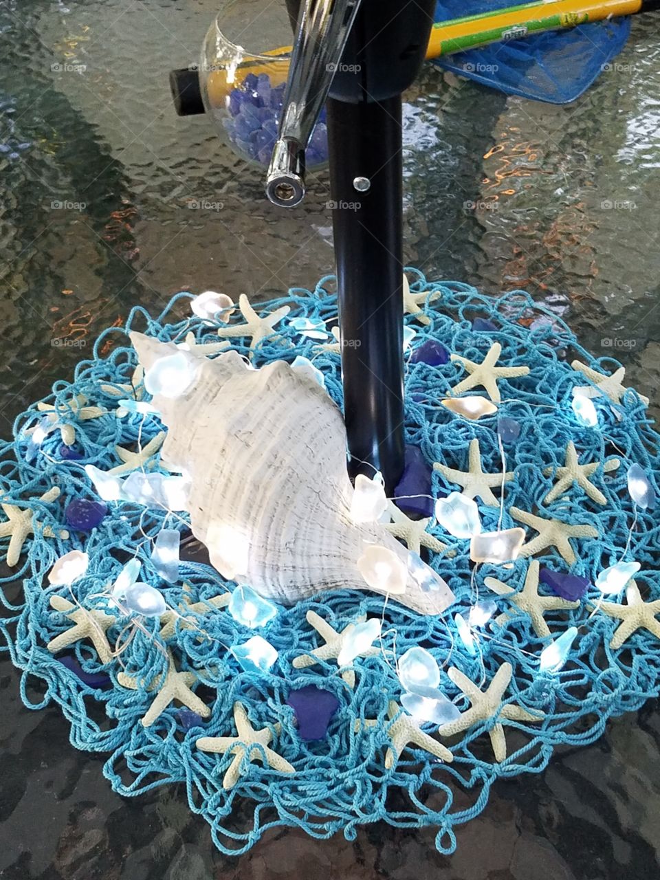 seashells and seashells