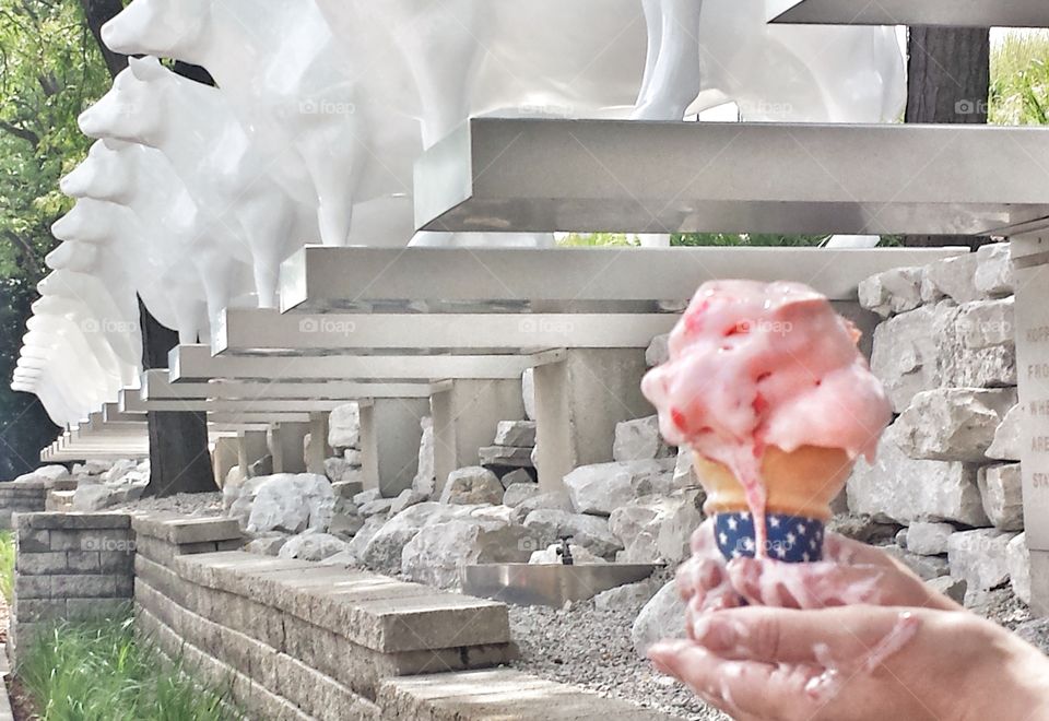 Hands Holding Ice Cream. Nice Cows