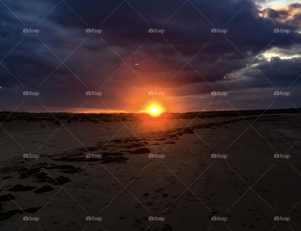 I will see you again