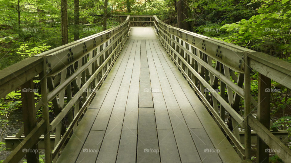 Forest footbridge and walkway. Taken at Dingman's Falls of the Bushkill area of the Pocono Mountains in Pennsylvania.