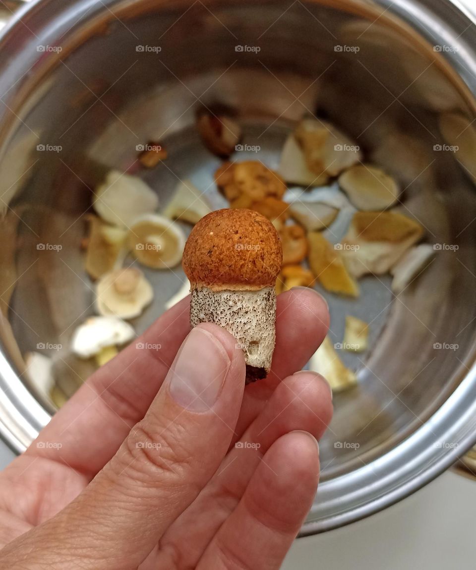 mushroom in the hand cooking home, mobile photography